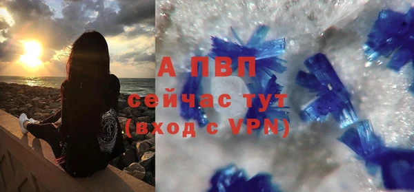 ешки Тавда