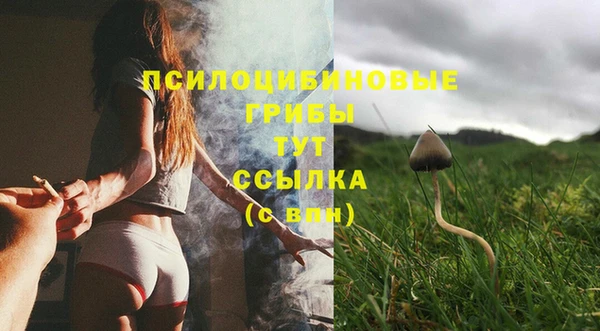 jwh Верхний Тагил