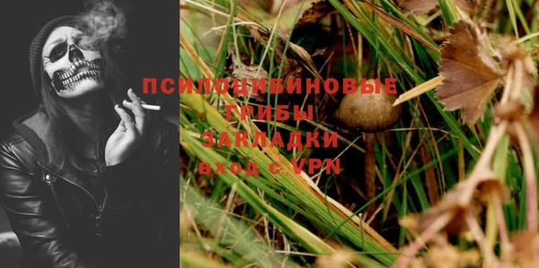 jwh Верхний Тагил