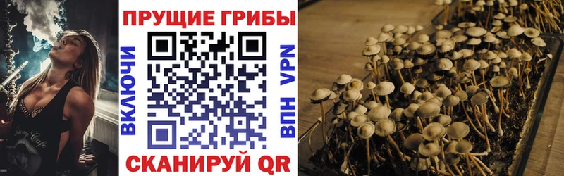 Галлюциногенные грибы MAGIC MUSHROOMS  Сыктывкар 